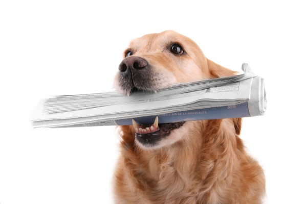 ФРС сохранила базовую ставку в диапазоне 5,255,5%