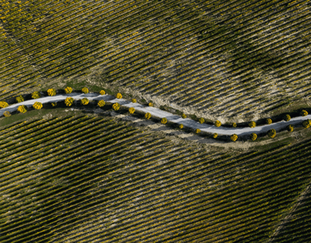 Медведев: СВО продолжится, пока Россия не достигнет своих целей