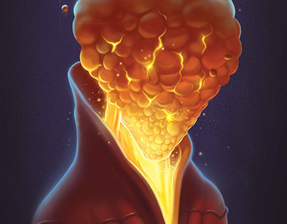 Чем подкормить уличные цветы для пышного цветения летом